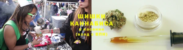 2c-b Сосновка