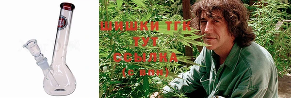 прущий лед Алзамай