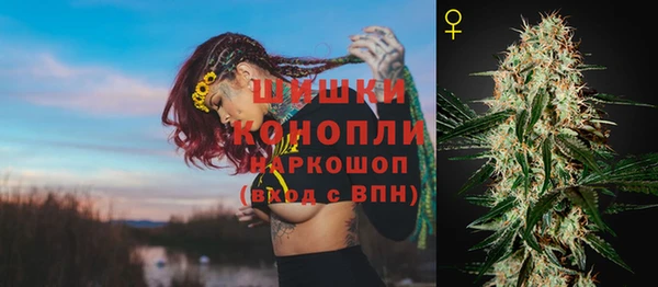2c-b Сосновка
