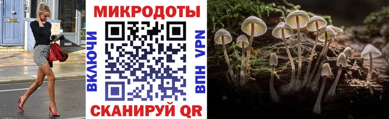 Псилоцибиновые грибы прущие грибы  Лагань 