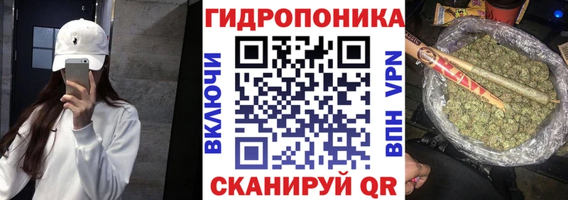 Бошки марихуана семена  где найти   Лагань 